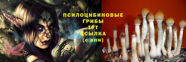крисы Ладушкин