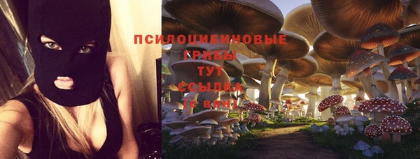 крисы Ладушкин