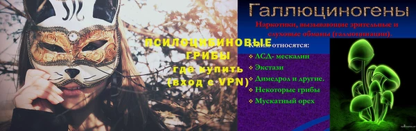 крисы Ладушкин
