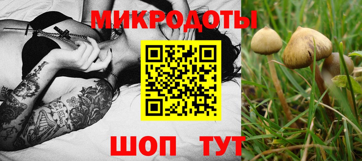 Галлюциногенные грибы мицелий Спасск-Дальний