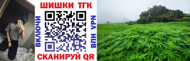 купить наркотик  Спасск-Дальний  Каннабис индика 